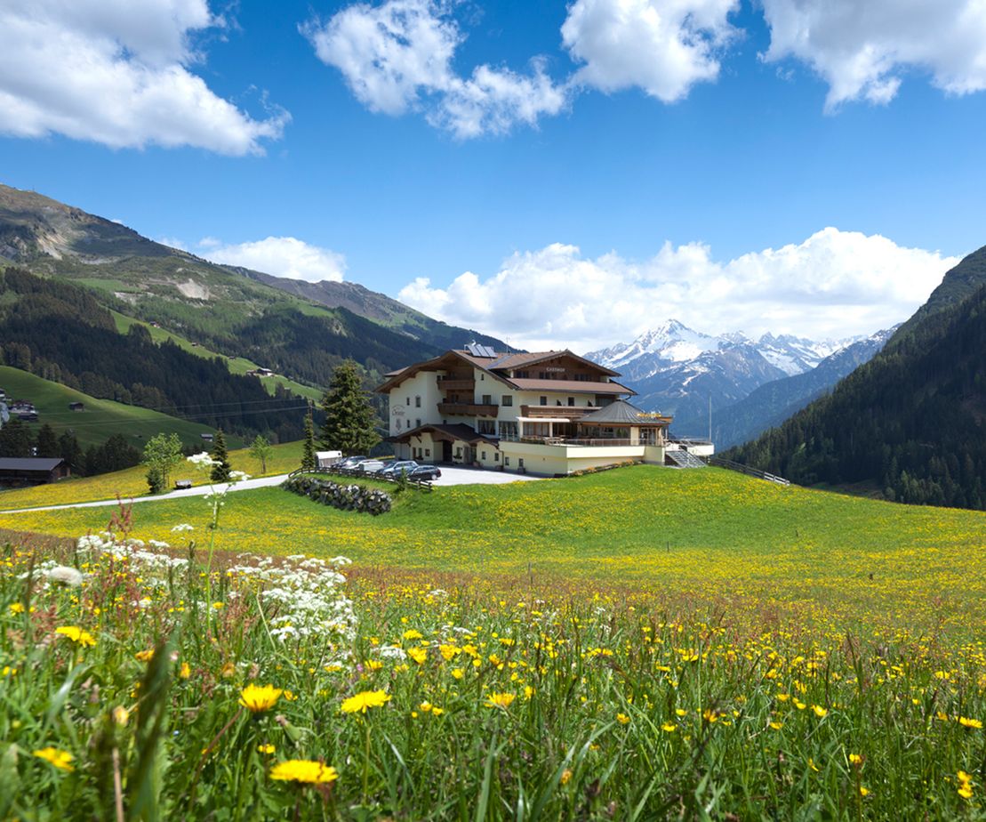 Panorama- Sommerurlaub im Gasthaus Christler Tux nahe Mayrhofen